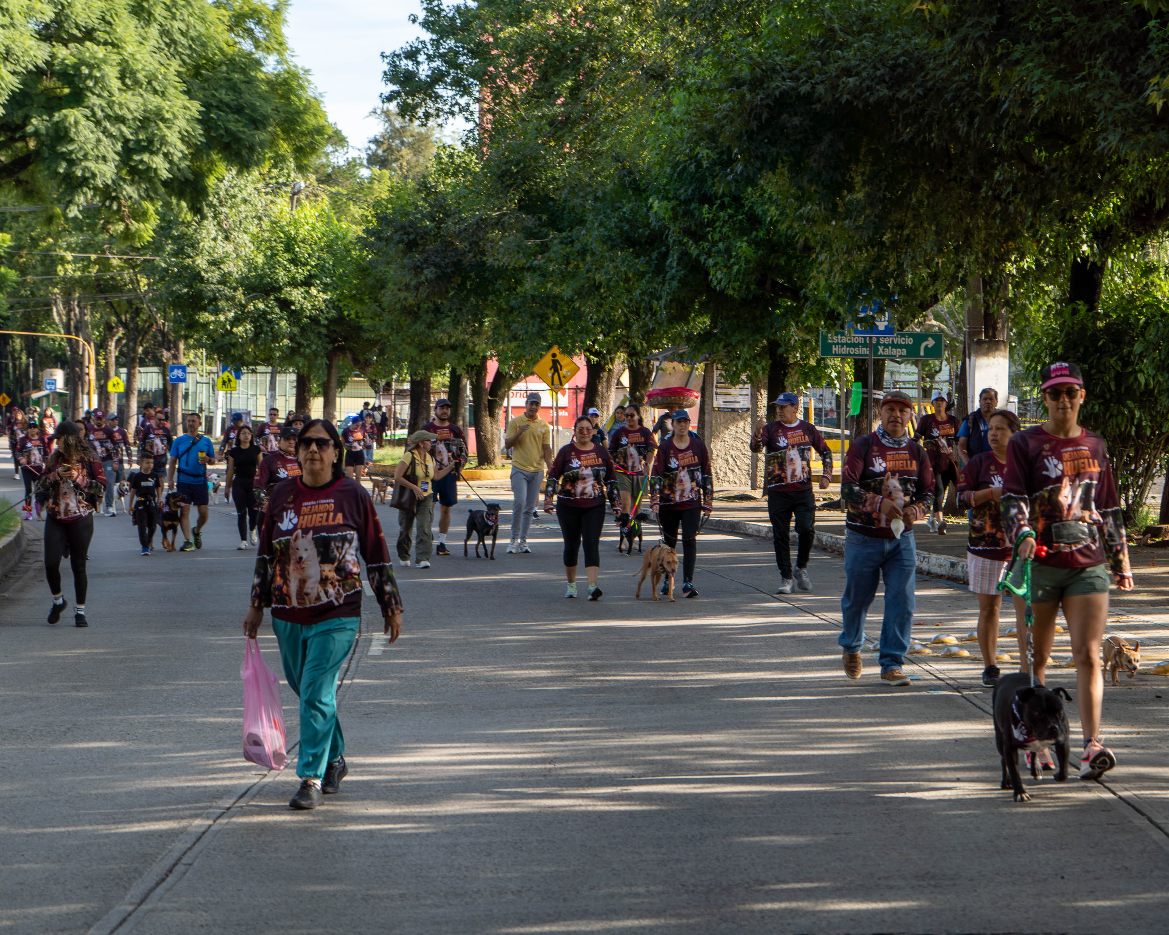 Carrera y Caminata Dejando Huella 2026