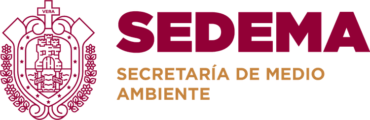 SEDEMA